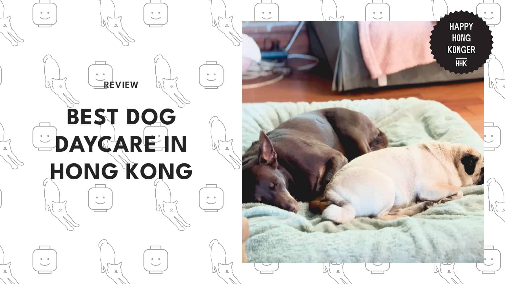 dogs-sleeping