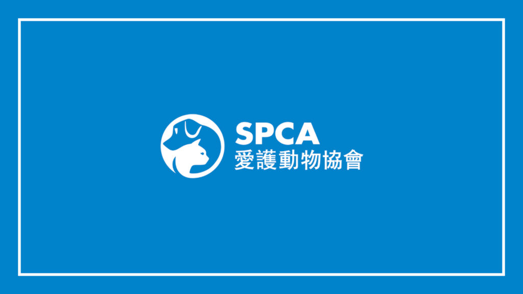 spca-pet-boarding