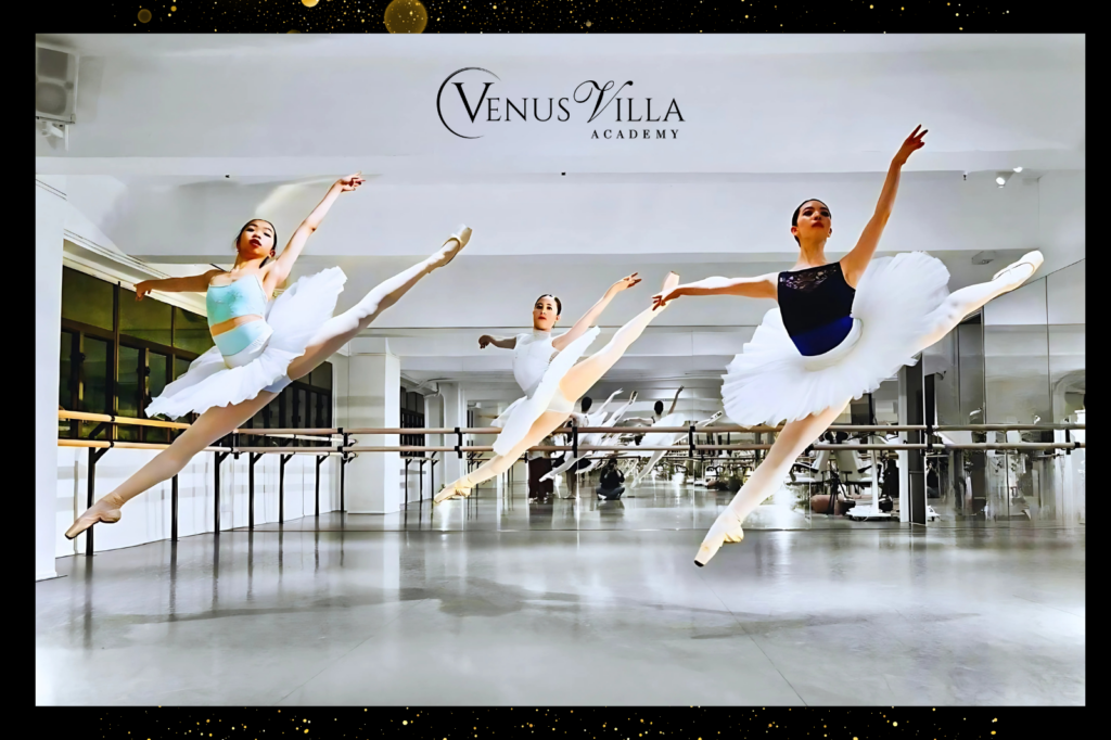 Venus Villa Dance Academy